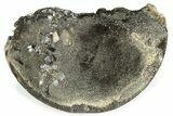 Polished Septarian Geode Section - Black Crystals #230415-1